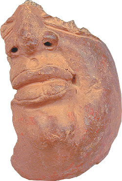 Head fragment Sri Lanka