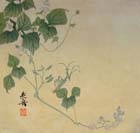 Praying Mantis on Vine